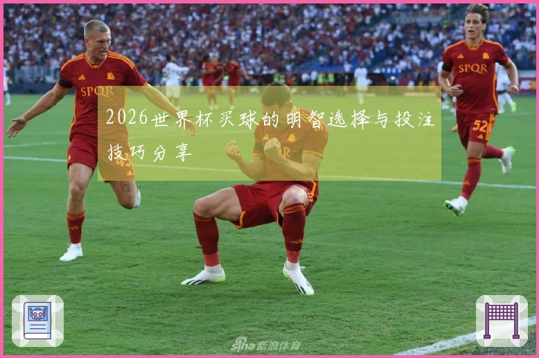 2026世界杯买球的明智选择与投注技巧分享