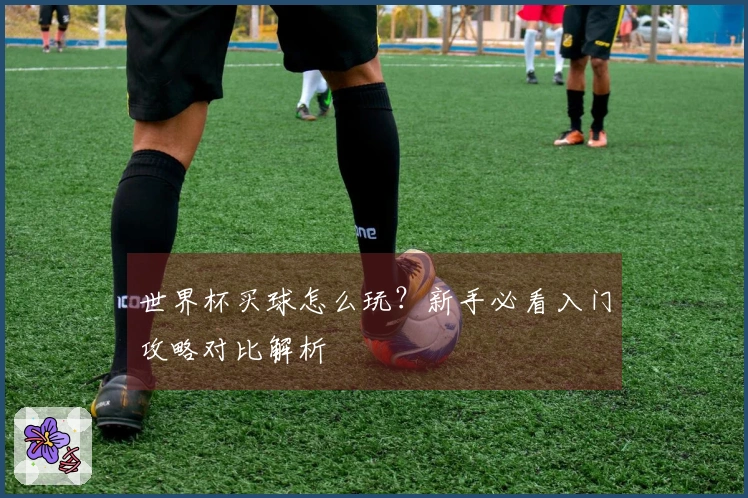 世界杯买球怎么玩？新手必看入门攻略对比解析